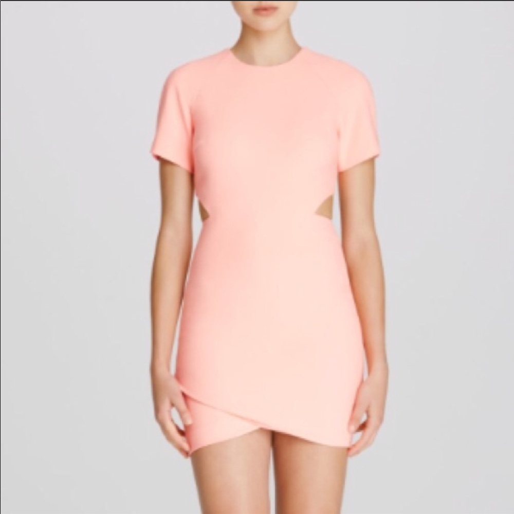 Elizabeth & James Skylyn mini dress sz 2